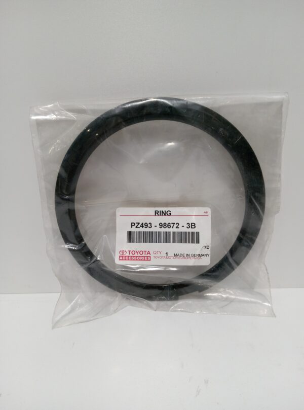 PZ493986723B Cornice nera